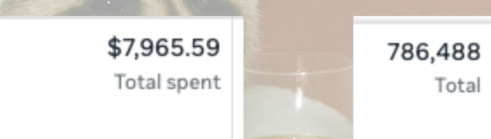 Ad account results: $7,965.59 total spend and 786,488 people reached
